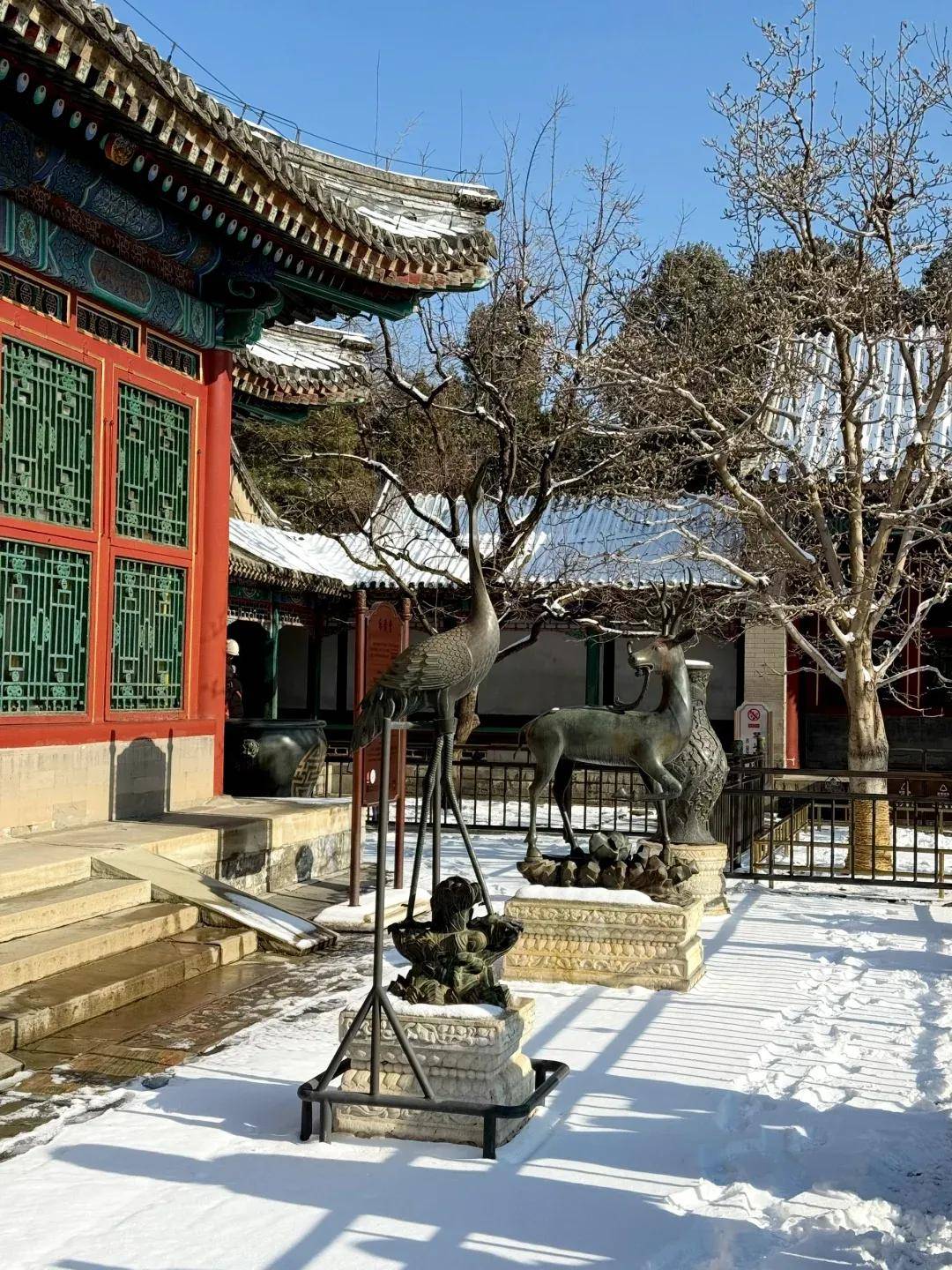 好的十大旅行社：零套路红榜认证放心选不朽