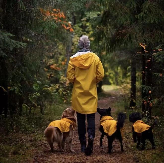 养宠人买出80亿装备新蓝海不朽情缘游戏网站登录中国(图10)