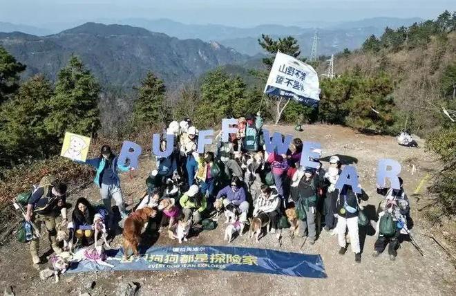 养宠人买出80亿装备新蓝海不朽情缘游戏网站登录中国(图8)