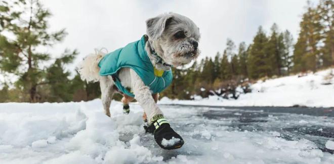 养宠人买出80亿装备新蓝海不朽情缘游戏网站登录中国(图2)