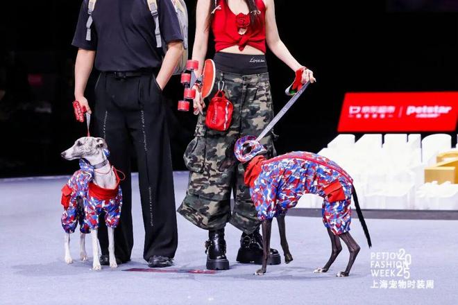 养宠人买出80亿装备新蓝海不朽情缘游戏网站登录中国(图6)